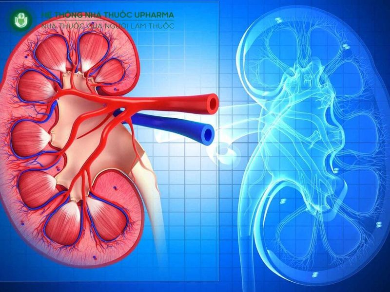 suy thận cấp độ 3