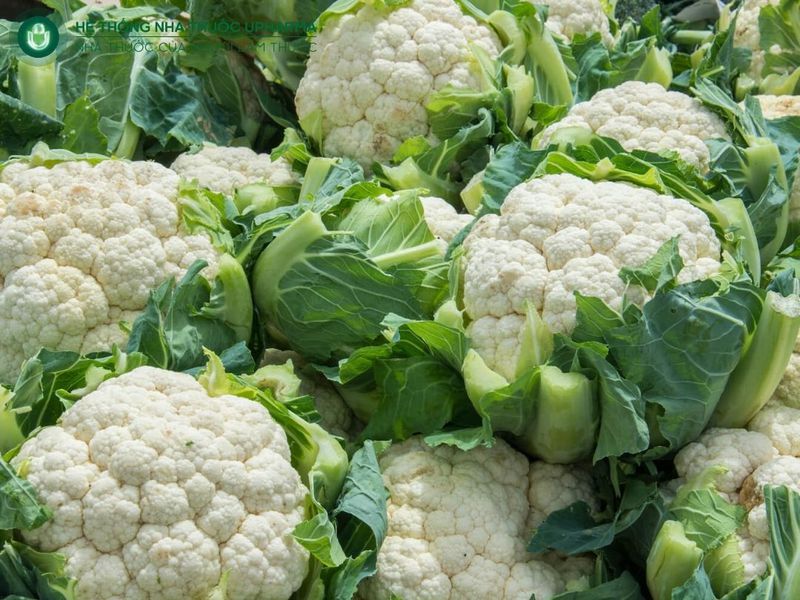 suy thận nên ăn súp lơ trắng