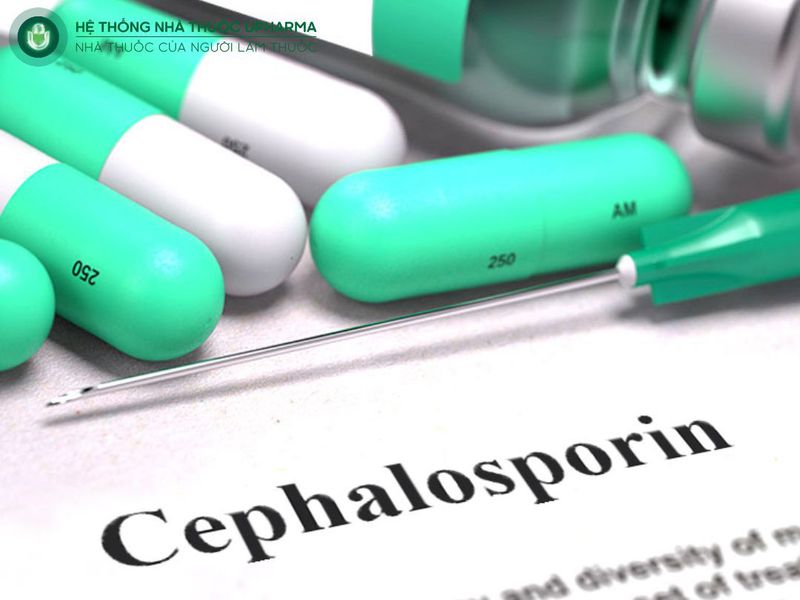 Nhóm cephalosporin