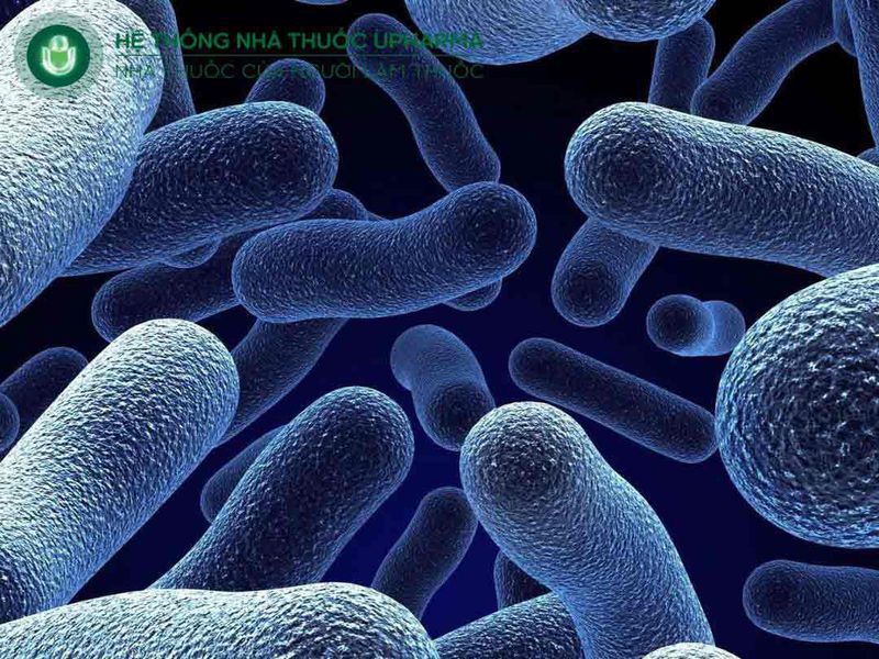 vi khuẩn là nguyên nhân gây viêm phế quản phổi