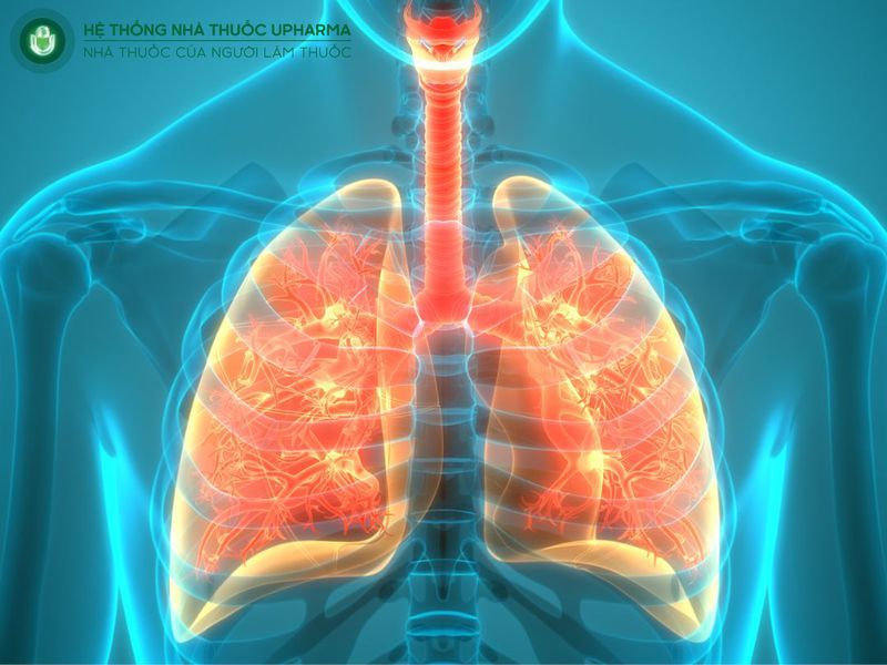 viêm phế quản là gì