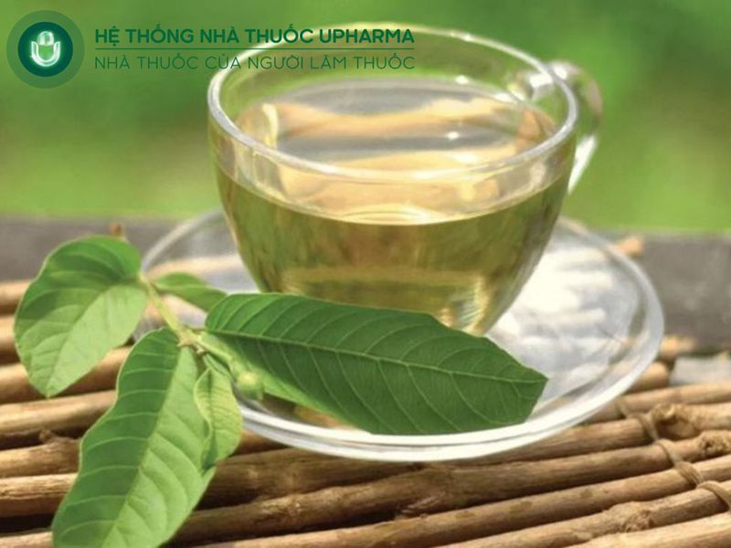 nước lá ổi có tác dụng trị ngứa hai mép vùng kín